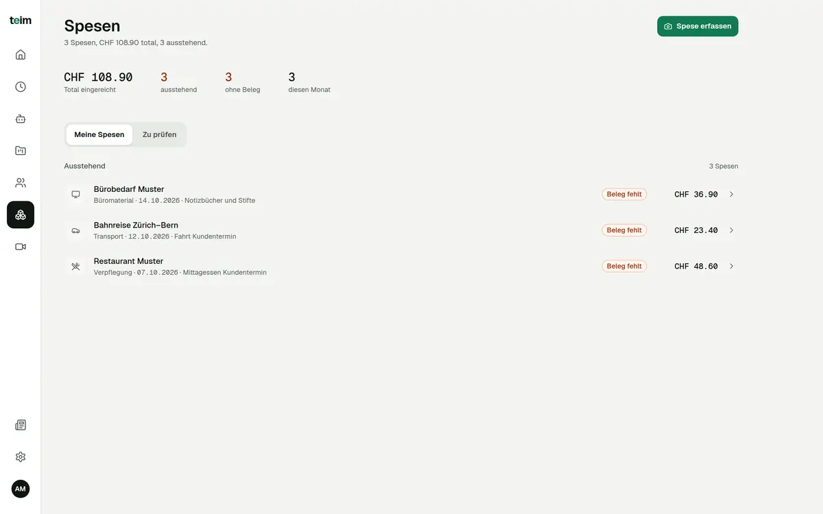 Expenses in teim with submitted total, pending expenses and categories such as office supplies, transport and meals